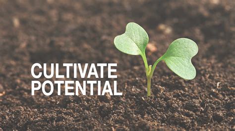 cultivate potential