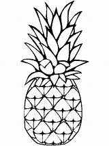 Pineapple sketch template