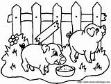 Cochon Cochons Enclos Ferme Schwein Pigs Gratuit Maialini Maiale Schweine Colorare Ausdrucken Disegni Coloriages Ausmalbild Puiul Cartoni Caboucadin Imprimé sketch template