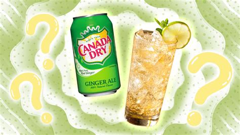 difference  ginger ale  ginger beer sporked