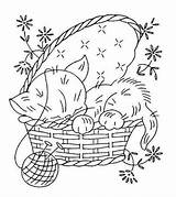 Ricamare Kitten Ricamo Ricami Bordar Cliparts Disegno Gattino Sleeping Mmaammbr Croce Applicazione Dorme Nella Kitty Tierbabys Ausmalbilder Macchina Dipinto Timbri sketch template