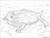 Lizard Horned Frilled Draco Coloringbay sketch template