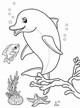 Delfini Malvorlagen Delfin Animales Ausdrucken Delfine Ausmalbild Marinos Dolphin Unterwasserwelt Pesci Delfino sketch template