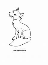 Fuchs Zum Ausmalen Malvorlage Malvorlagen Ausmalbild Fuechse Hund Füchse Tierbilder Malvorlagan Malvo ähnlich Kostenlose sketch template