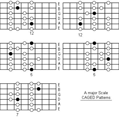major scale note information  scale diagrams  guitarists