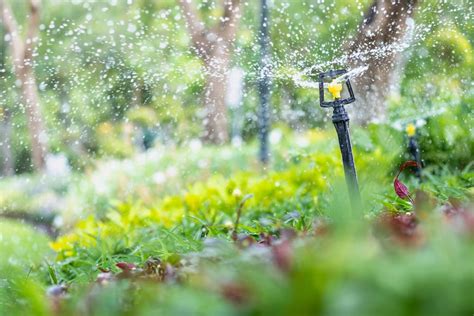 watering  garden  irrigation system hollandscapes