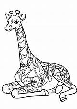 Coloring Pages Giraffe Printable Rest Craft Animals Pdfs Animal Print Color sketch template