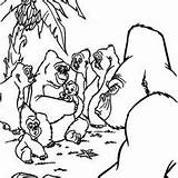 Tarzan Kala Coloring Pages Baby Raising Kerchak Doesn sketch template