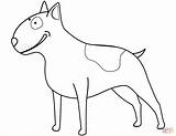 Coloring Terrier Bull Pages Funny Printable Drawing Dogs Categories sketch template