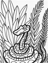 Snake Coloring Pages Color Animal Jungle Kids Snakes Print Printable Colouring Animals Clipart Safari Library Coloringkids sketch template