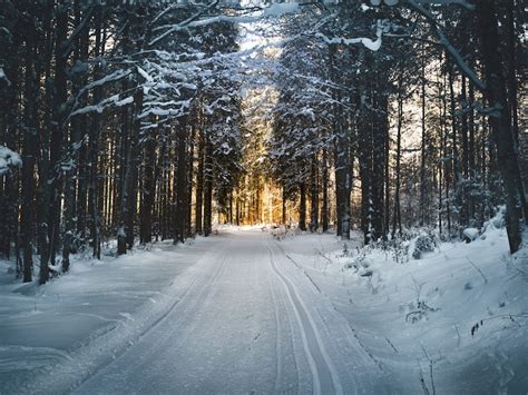 winter scene pictures stunning