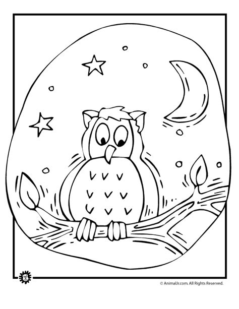 snowy owl coloring pages   snowy owl coloring pages