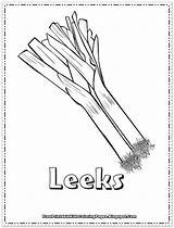 Pages Coloring Onions Printable Leeks Kids Related Post sketch template