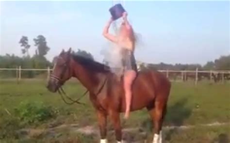 ice bucket challenge op paard loopt fout af het belang van limburg