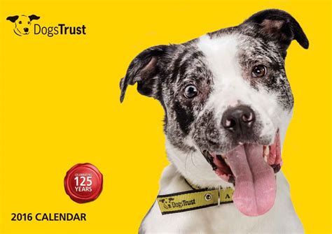 dogs trust releases book  celebrate  years   charity viva lifestyle magazine