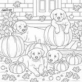 Pumpkins sketch template