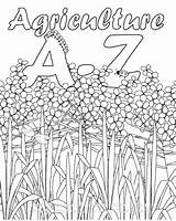 Agriculture Coloring Activities Book Ag Printable Ffa Farm Education Classroom Kids Pages Colouring Template Alphabet Activity Farming Excellent Science Animal sketch template