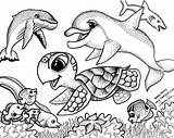 Pages Cute Coloring Sea Animal Baby Getcolorings sketch template