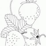 Coloring Strawberries Berries Bush Viburnum Handicraft Different Colorkid sketch template