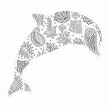Printable Menagerie Dolphin Hubpages Sporting Inspired Floral sketch template