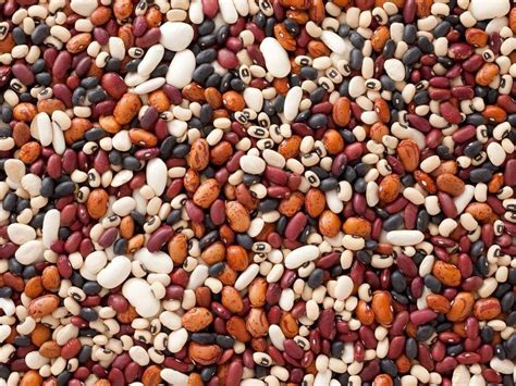 beans and diabetes health benefits diabetestalk