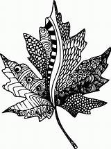 Zentangle Coloring Leaf Pages Printable Clipart Zen Mandala Zentangles Leaves Maple Templates Doodle Adult Popular Drawing Book sketch template