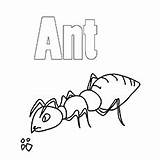 Ant Coloring Ants Pages Big Designlooter 230px 09kb sketch template