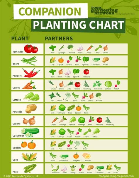 chart  planting veggie garden