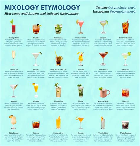 infographic explaining   types  cocktails