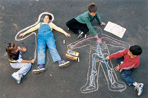 skeletons   outdoor sidewalk chalk human body