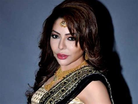 laila khan  enter bigg boss    wild card entry bollywood news