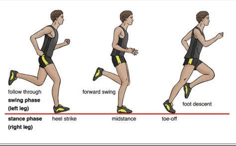 normal running mechanics  motion physical therapy chicago il