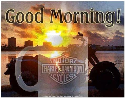 Good Morning Harley Harley Davidson Logo Harley Davidson