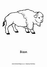 Bison Colouring Coloring Village Activity Explore Pages sketch template