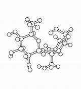 Sucrose Biology Crystallography Discovering Through Coloring Learn sketch template