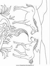 Misti Verschiedene Disegno 1533 Malvorlage sketch template
