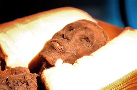 curse of the pharaoh s man boobs tutankhamen s death blamed on