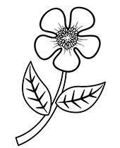 flowers coloring pages sheets topcoloringpagesnet