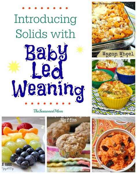 guest post introducing solids  baby led weaning  seasoned mom