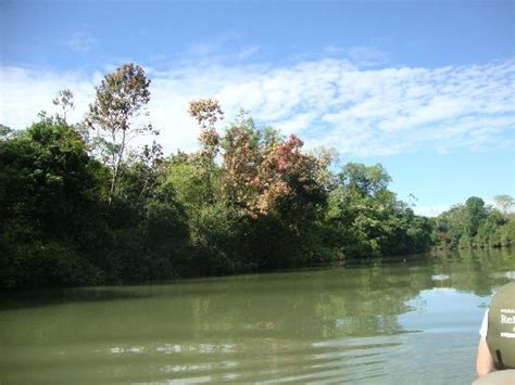 pantanal mato grosso do sul avaliações de pantanal tripadvisor