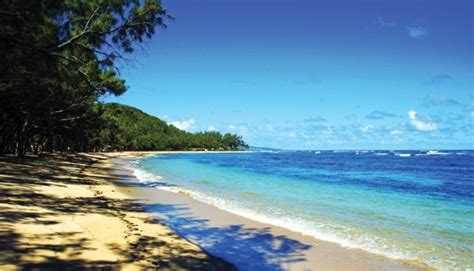 Top 10s Picnic Beaches In Barbados My Guide Barbados