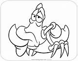 Sebastian Disneyclips Scuttle Flounder Ariel Funstuff Coloring2 sketch template