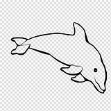 Dolphins Spinner Bottlenose Lumba Mewarnai Hiclipart Webstockreview sketch template