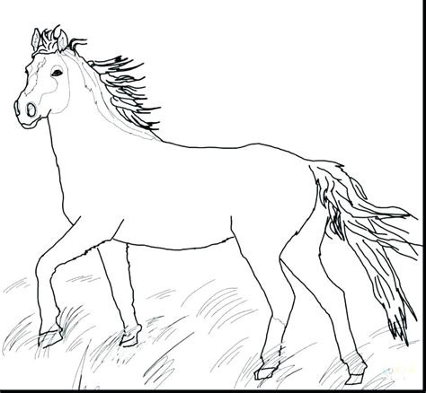 pony horse coloring pages  getdrawings