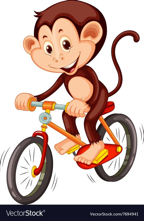 monkey riding  bicycle royalty  vector image