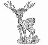 Deer Representation Pxfuel sketch template