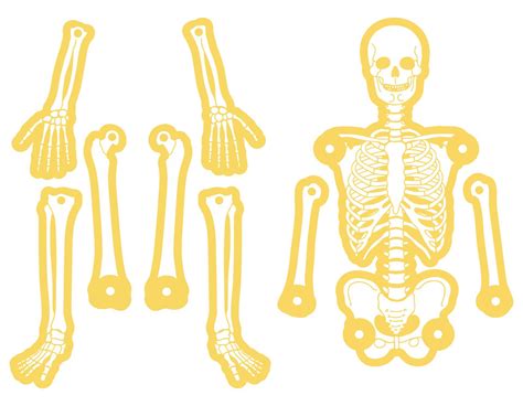 large printable skeleton template skeleton template