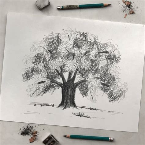 top  easy sketch  tree ineteachers