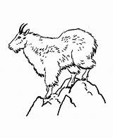 Goat Mountain Coloring Pages Color sketch template