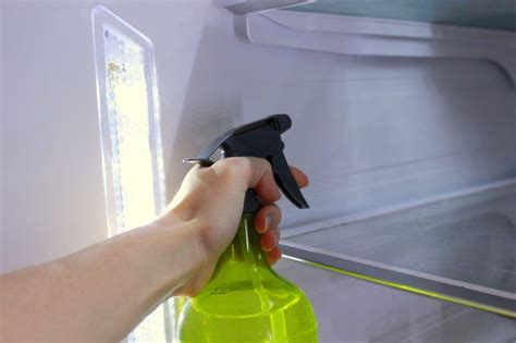 clean mold   refrigerator hunker cleaning mold